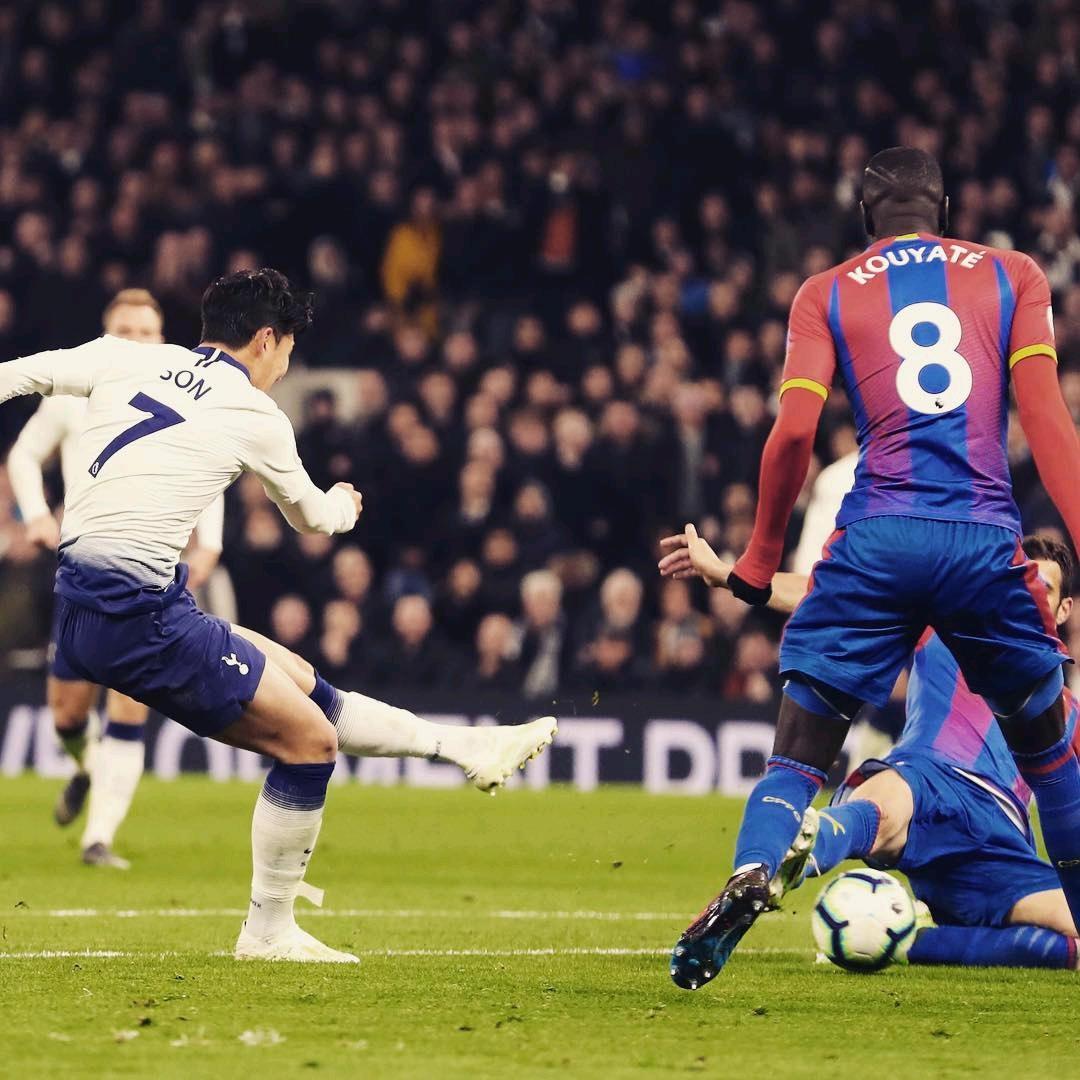 也可能成為 也可能成為